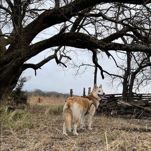 Meet your Posher, Charles